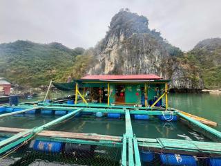 Floating house in Cai Beo Fishing village - Hai Phong - 0