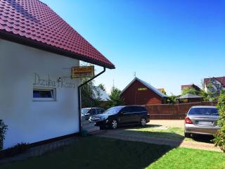 Dzika Róża - Karwia - 1