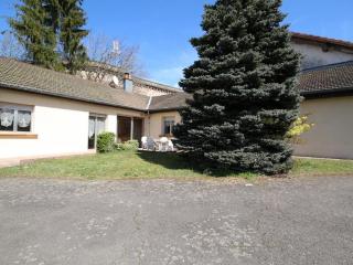 Gîte paisible au pied du Bassin de Champagney, animaux acceptés - FR-1-583-372 - Champagney - 8