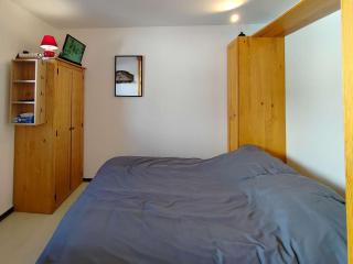 Appartement cosy 4 pers, départ ski aux pieds - FR-1-545-50 - 5