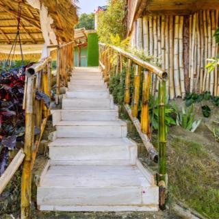 expectacular vista al bosque - - 9