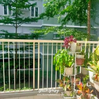 1BR at Trees Residences with Balcony - Quezon City - 8