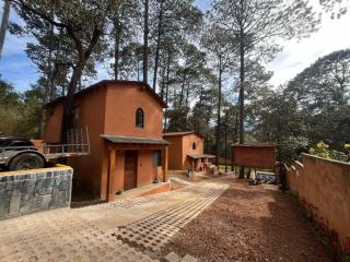 Bosque de Avandaro - Valle de Bravo - 9