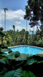 3 BHK Villa Pool Breakfast - Meppādi - 2