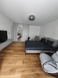 Studio lux, elegant & confortabil - 0