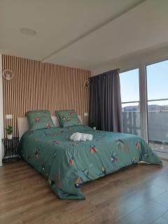 Sky View apartment with Swimming pool, AC, Wifi, M2 - Milan - 8