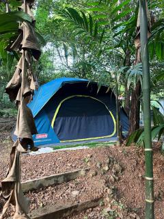 Dragster Tents - Kizhake Chālakudi - 5