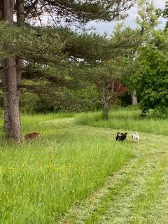 La Clémendière, un paradis caché - 1