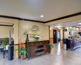 Quality Inn DFW Airport North - Irving - Irving - 3