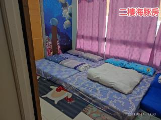 Dolphin Castle - Donggang - 8