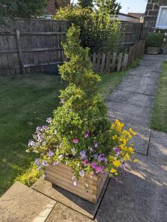 Robin Cottage - Chesterfield - 2