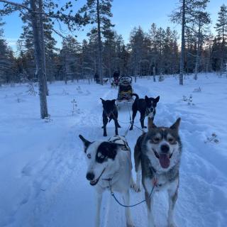 Sæteråsen Hytter & Camping Trysil - Trysil - 8