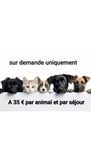 LE VEGAS Logis de luxe avec salle de jeux - 9