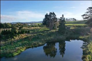 Off-Grid, self-contained Cabin - Pahiatua - 4
