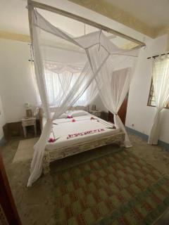 Garodapalm - Melinde - 4