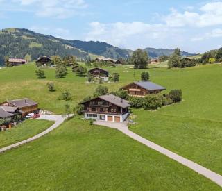 Swiss Peaks Haven with Unparalleled Views - Gstaad - 4