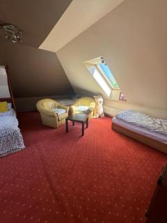 Agroturystyka Alpakolandia Góra Szybowcowa - 8