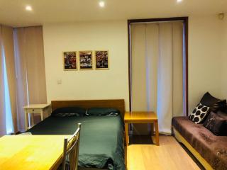 Amazing studio in Central London - Londra - 7