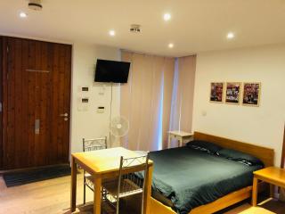 Amazing studio in Central London - Londra - 5