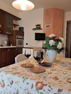 Roses house - Porto San Giorgio - 0