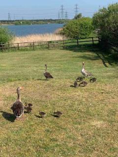 Lakeview suite, Romney Marsh - Lydd - 6
