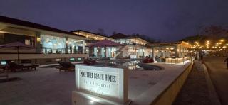 Pine Tree Beach Hotel - Gili Trawangan - 3