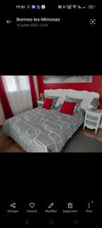 Villa Elephantine - Bormes-les-Mimosas - 7