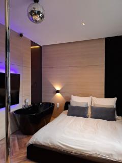 LupoApartments z Klimatyzacją do wyboru z Jacuzzi Pole Dance Parking Dostęp na Kod - Łódź - 2