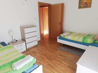 Grand appartement frontière suisse - Leymen - 6