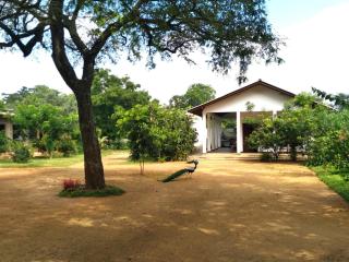 The Treasure - Habarana - 0