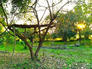 The Treasure - Habarana - Habarana - 6