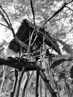 The Treasure - Habarana - Habarana - 8