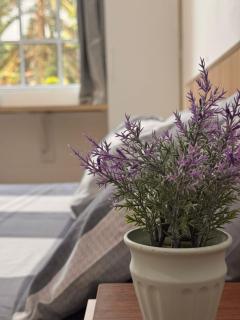 The Trails Of Kampar - Kampar - 8