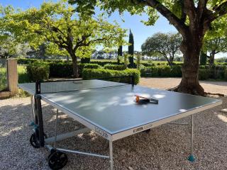 Le mas provençal d'Aurélie - Carpentras - 4
