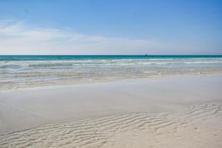 Sterling Sands 101 - Destin - 6