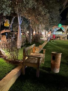 Casa Byoum jungle - 8