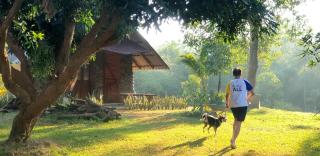 จำค่า ชาเลท์ บ้านพักสวนเกษตร (Jumka Chalet - Home and Farm Stay) - Ban Cham Kha - 8