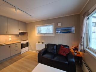 Studio Apartment in Tromsø - Tromsø - 7