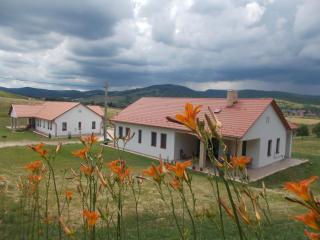 Bánvölgye Vendégház és Apartmanok - 2