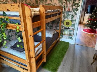 Gite de l'Ours - Saint-Maurice-sur-Moselle - 2