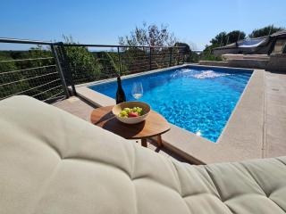 Apartman Marlera s privatnim bazenom - Ližnjan - 0