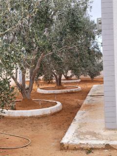 Sassi Villa - Arkou - 5