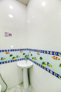 Vip 5 bedrooms apt - Baku - 9