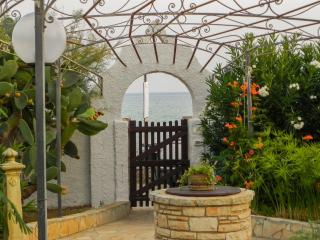Villa Luisa Fronte Mare - Marina San Gregorio - 3