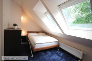 Valley Loft Apartment by Aachen-Herzogenrath - Herzogenrath - 4
