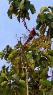 Finca emperatriz - - 0