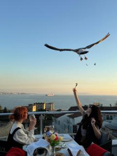 Joyway Hotels Istanbul Sultanahmet - Istanbul - 7