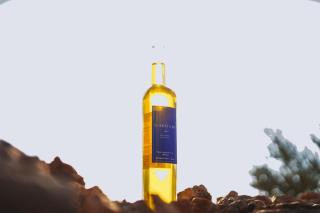 Gardam hyper centre cathédrale - Reims - 1