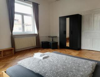 Pirc apartment on Dunajska street - Liubliana - 5