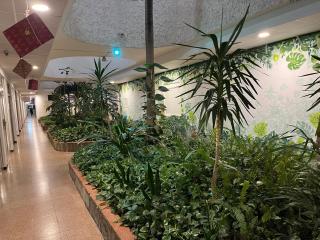 5 min walk from Yumbo 216 - Playa del Inglés - 8